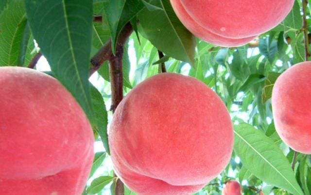 スポットの写真