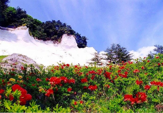 【2021年中止】白岩まつり