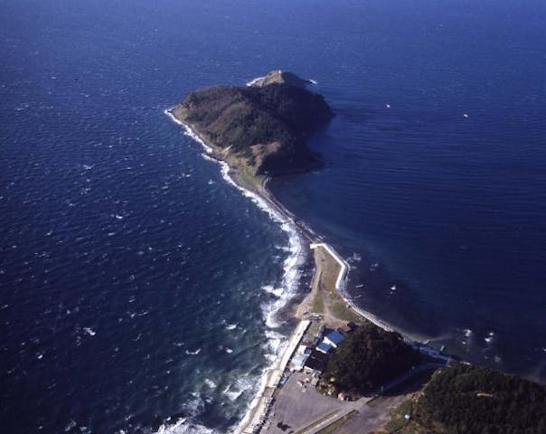 大島・椿山キャンプ場
