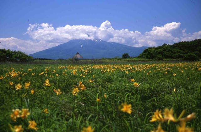 スポットの写真