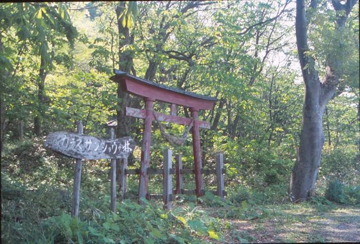 【開催なし】松神鹿島祭り