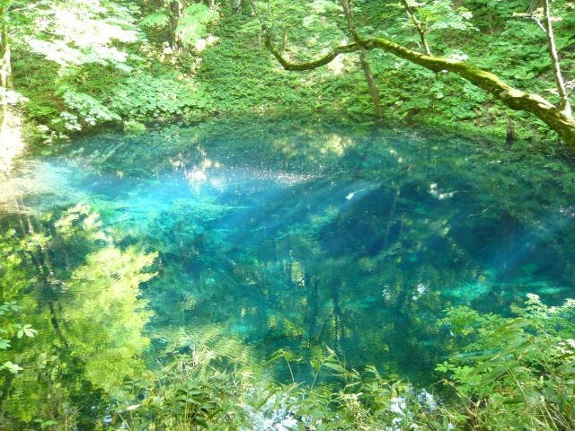 十二湖おすすめ散策コース