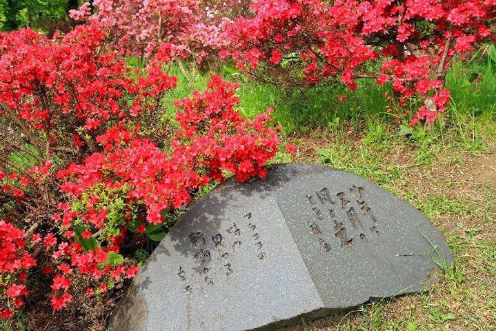 大鰐温泉つつじまつり