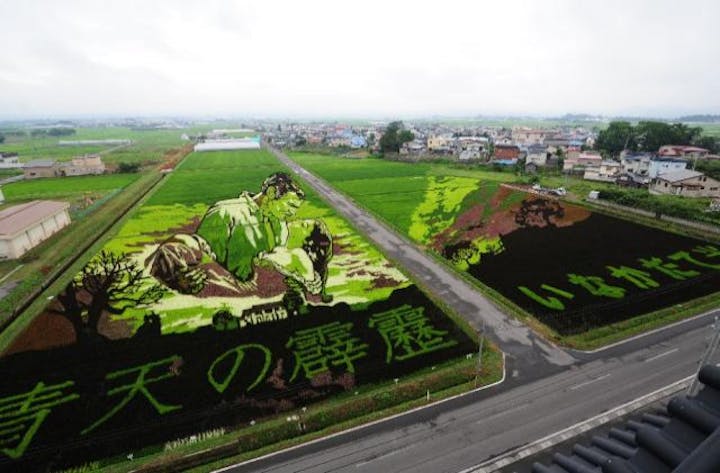【2021年開催中止（第2会場のみ制作）】田舎館村　第1田んぼアート
