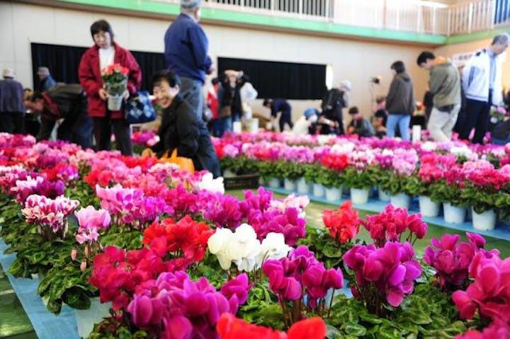【2021年度中止】収穫感謝祭＆シクラメン市