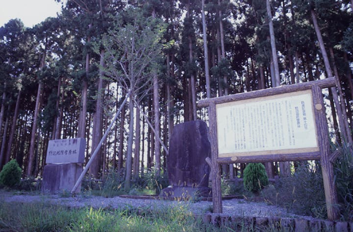 日本最古の鉄道防雪原林