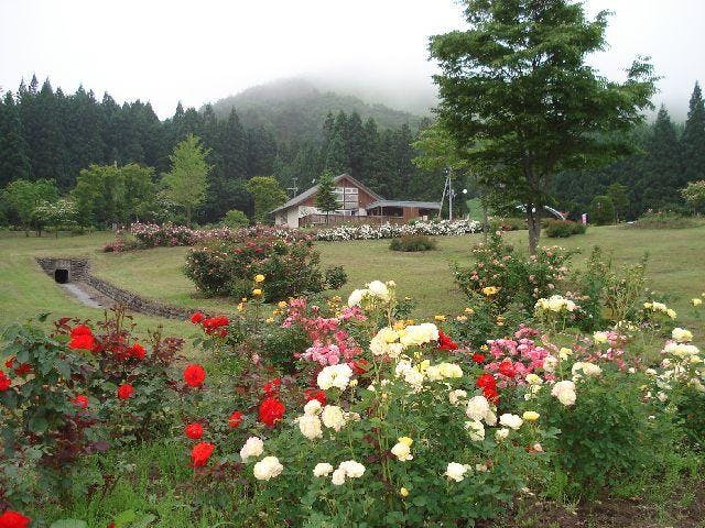 しちのへバラまつり2020