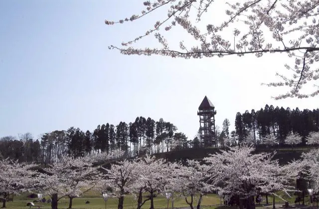 八戸 女子会 の遊び 体験 アソビュー