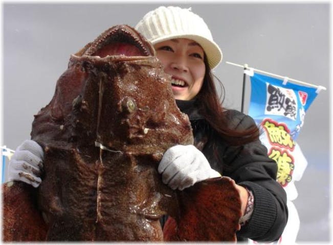 風間浦鮟鱇感謝祭