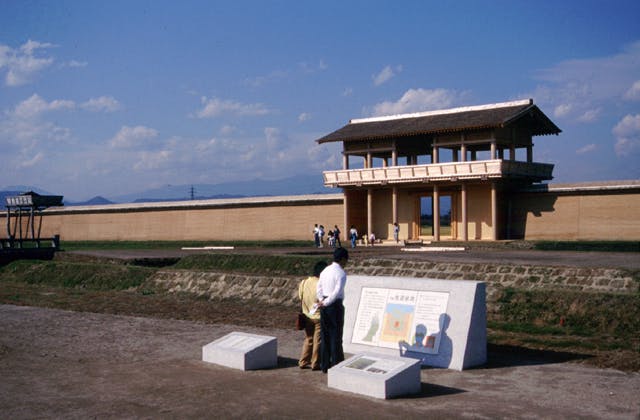 スポットの写真