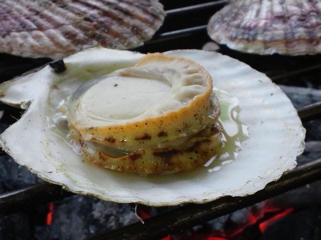 スポットの写真