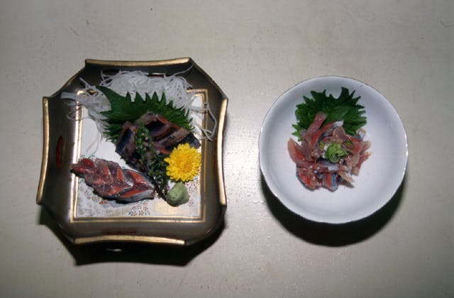 スポットの写真