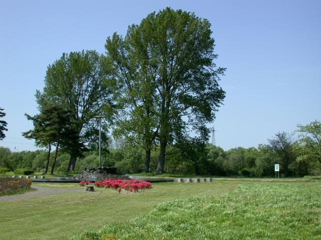 和賀川ふれあい広場