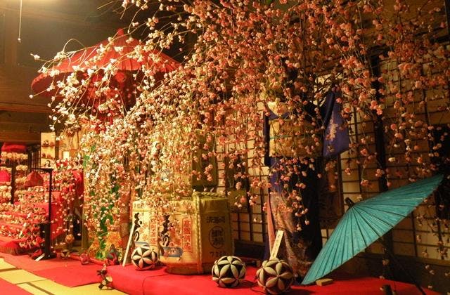 スポットの写真