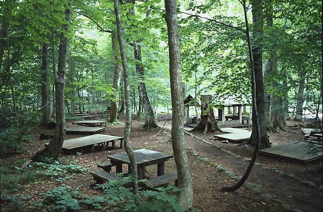 スポットの写真