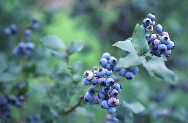 スポットの写真