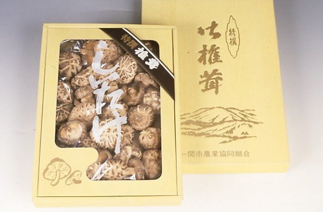 スポットの写真