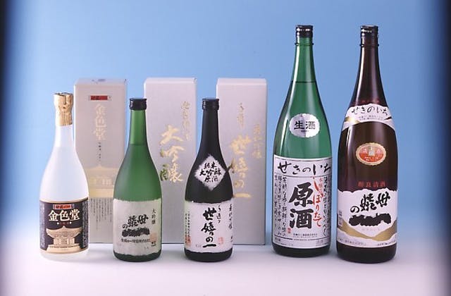 スポットの写真