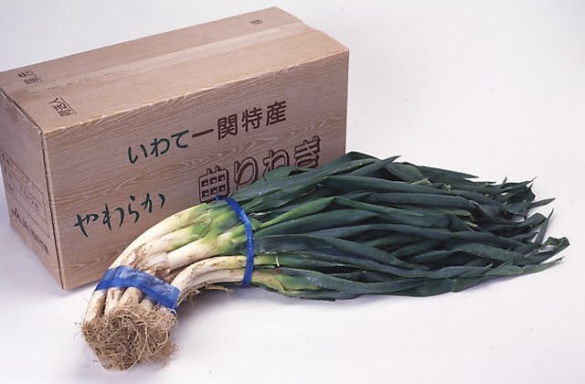 スポットの写真