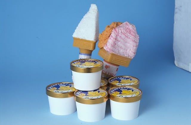 スポットの写真