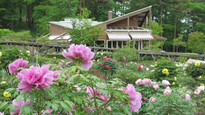 【中止】ぼたん・しゃくやく祭り