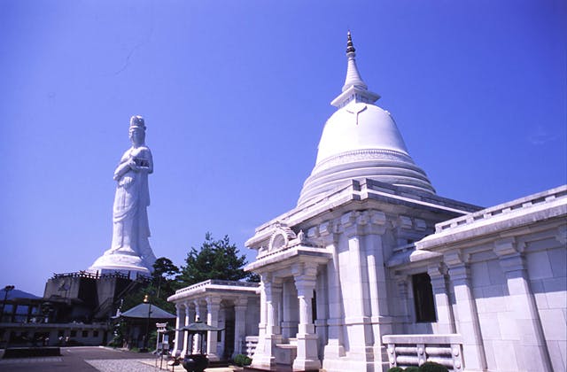 スポットの写真