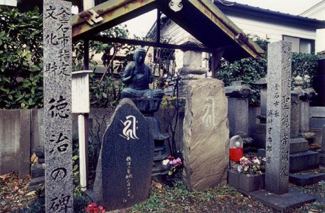 スポットの写真