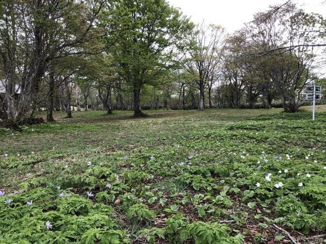 稲庭キャンプ場