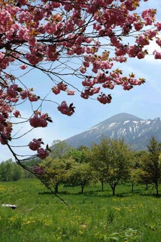 岩手県県民の森