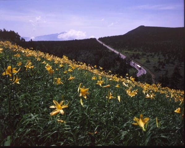 八幡平山頂散策路