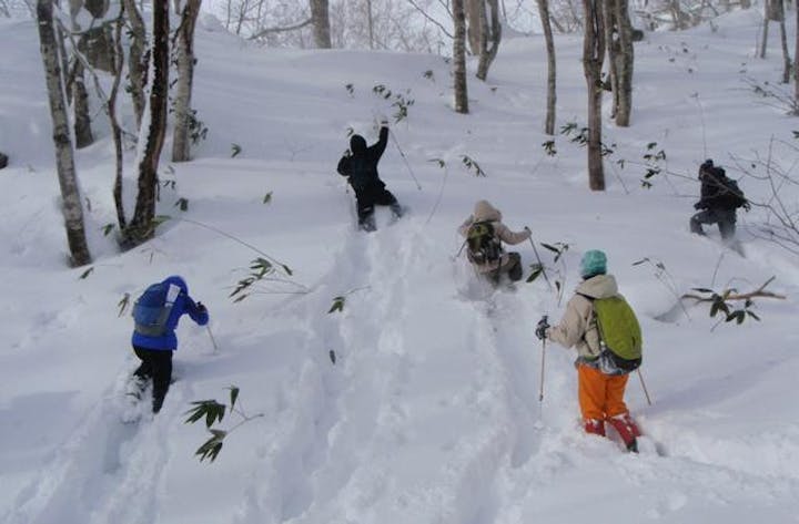 新雪の網張スノーシュー体験