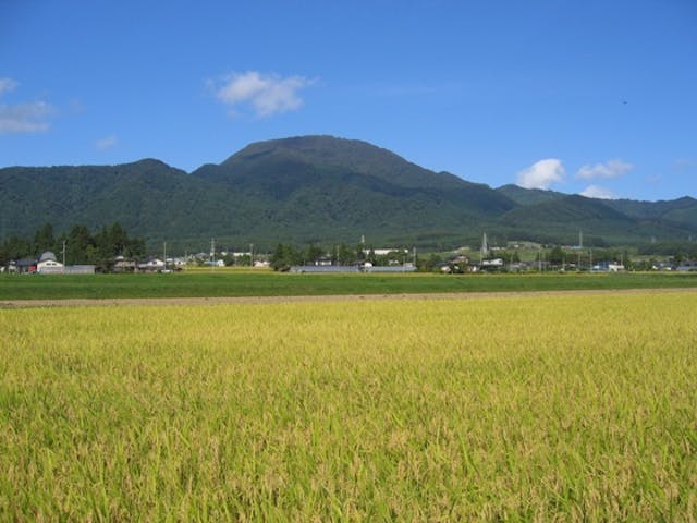 東根山