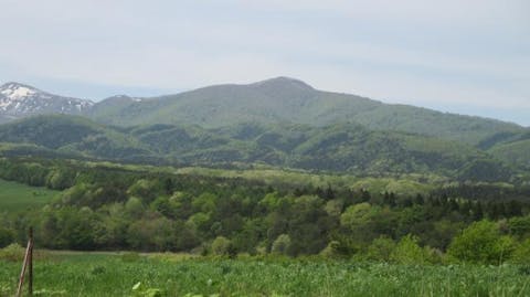 岩手県立花きセンター アソビュー