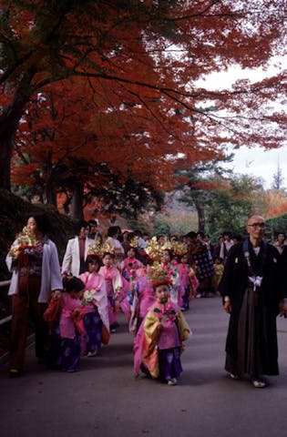 秋の藤原まつり