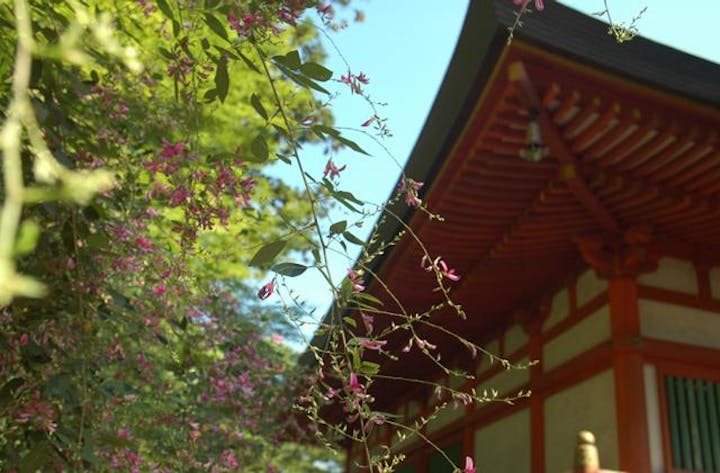 【2021年度開催中止】毛越寺萩まつり