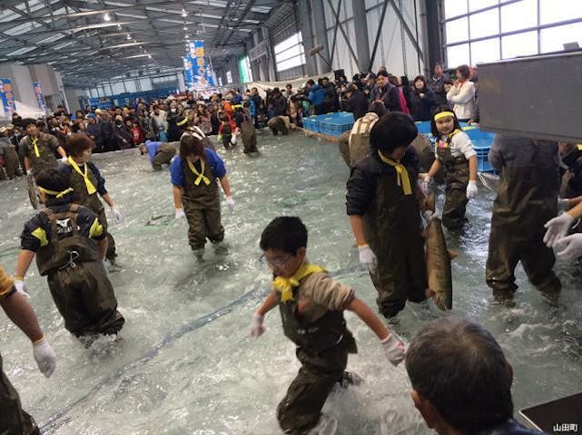 山田の鮭まつり