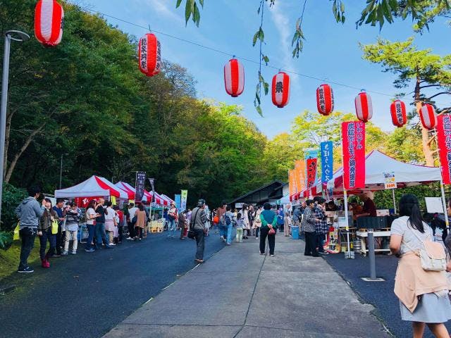 【2021年中止】龍泉洞まつり