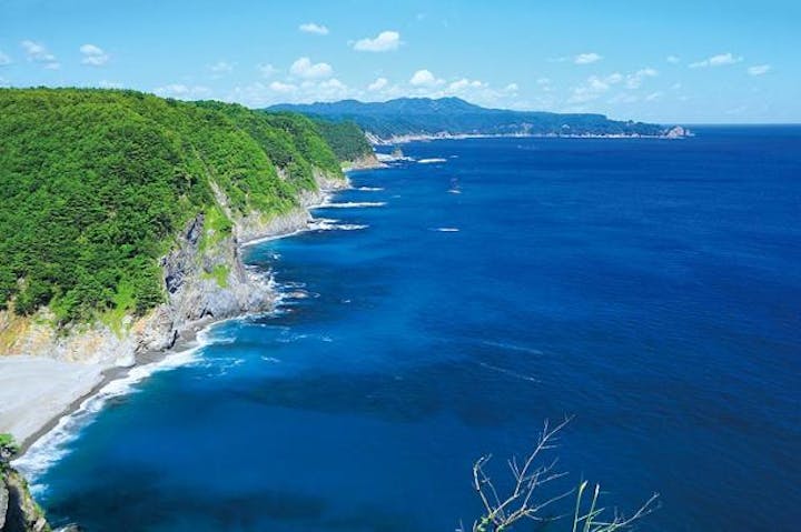 鵜の巣断崖展望台