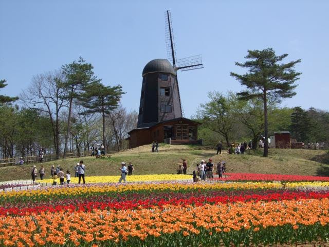 森と水とチューリップフェスティバル