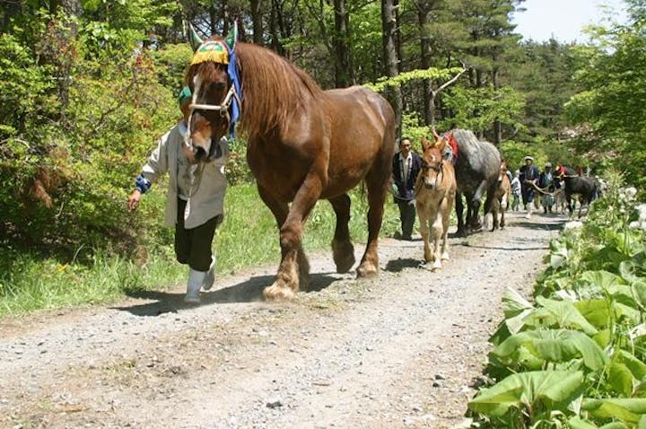 久慈平岳山開き