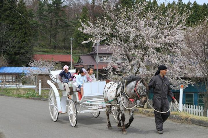 アグリパークおおさわ春の感謝まつり