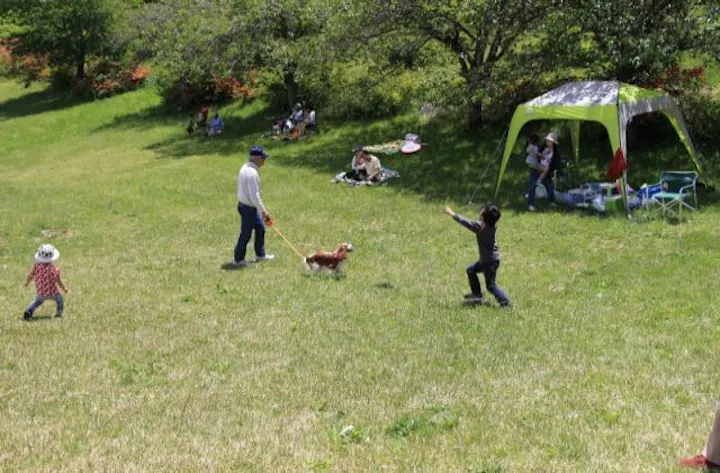 高森高原 アソビュー