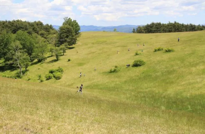 高森高原 アソビュー