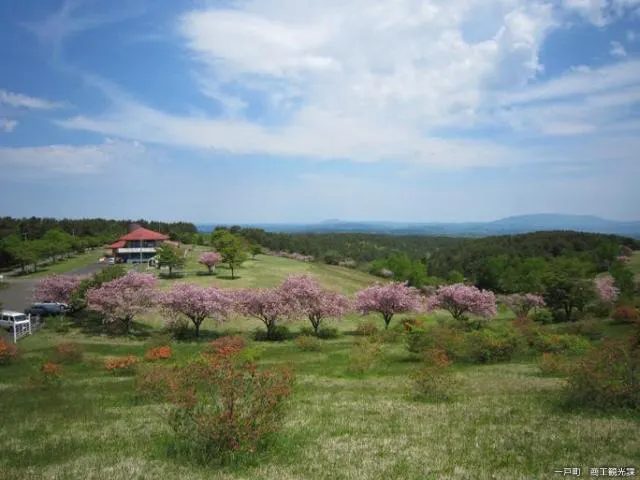 高森高原まつり アソビュー