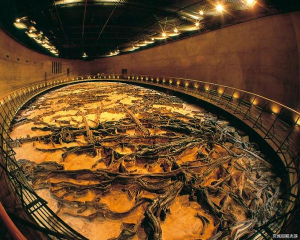 地底の森ミュージアム（富沢遺跡保存館）