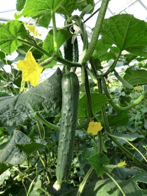 スポットの写真