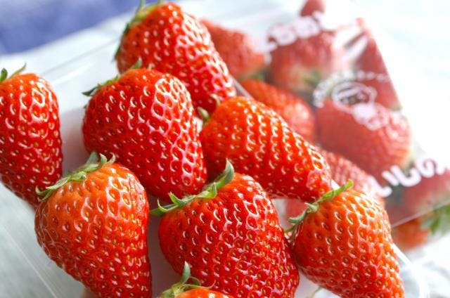 スポットの写真