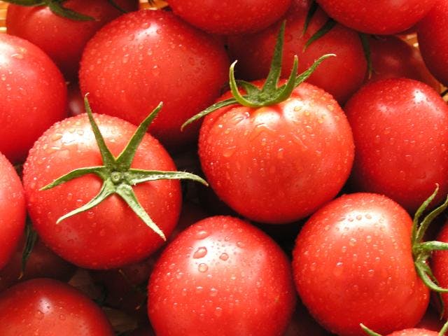 スポットの写真