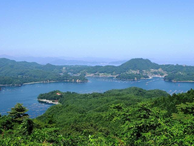大島亀山