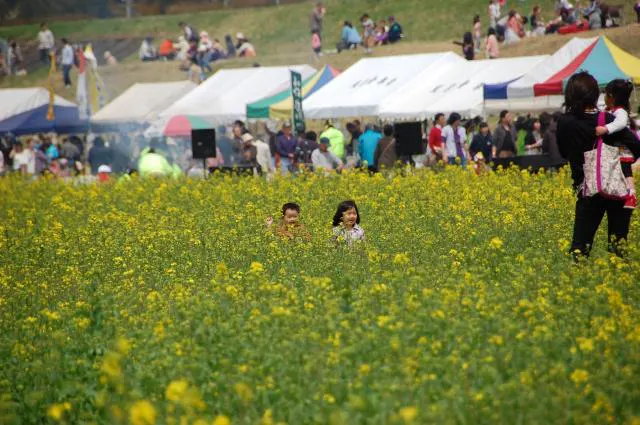 スポットの写真